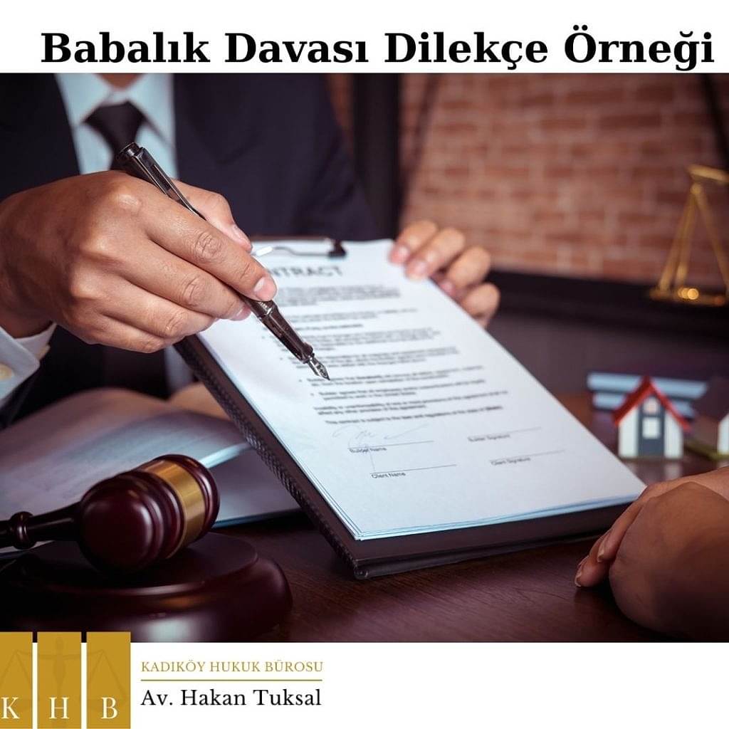 Babalık Davası Dilekçe Örneği