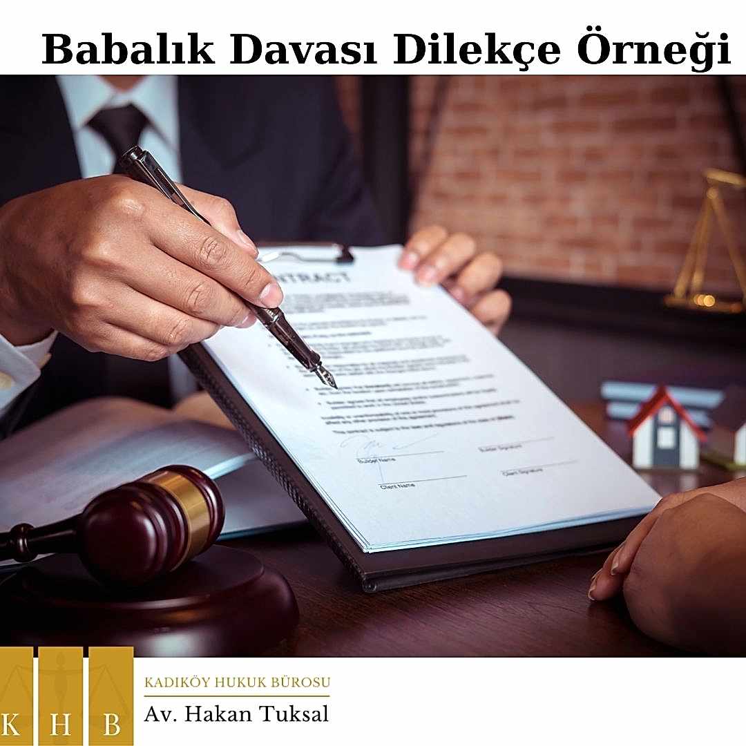 Babalık Davası Dilekçe Örneği